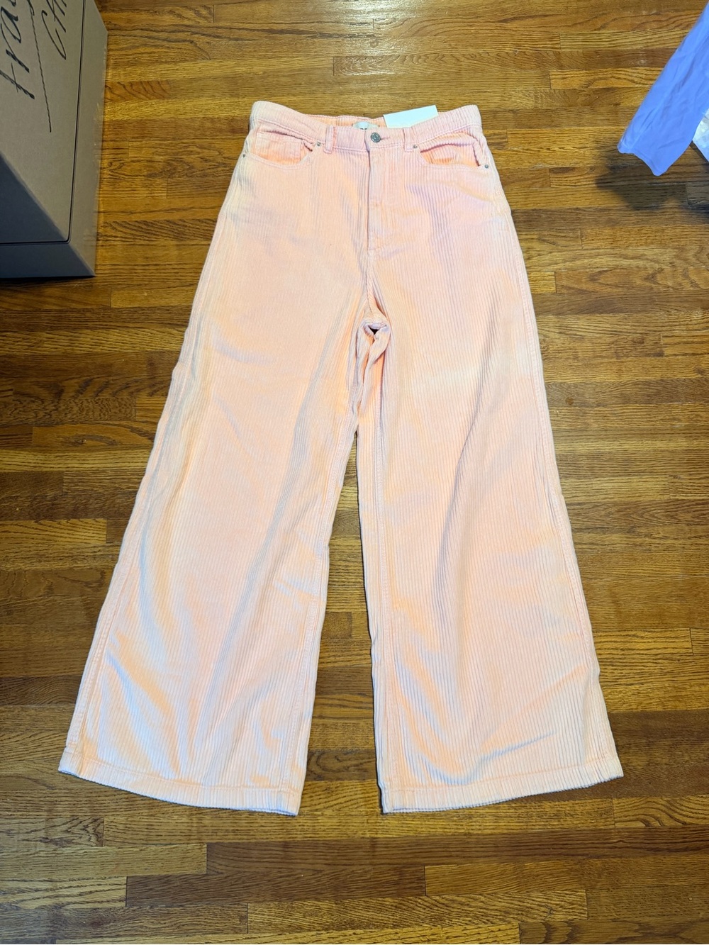BDG Wide-Leg Corduroy Pants in Light Peach